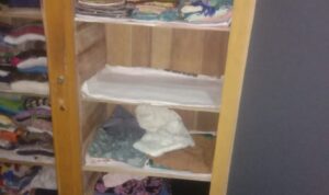 IMG-20210801-WA0086