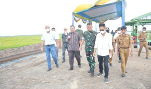 IMG-20220208-WA0156