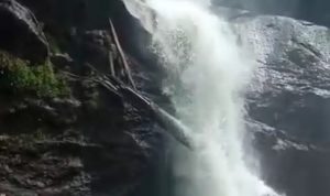 IMG-20220518-WA0044