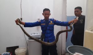 IMG-20220601-WA0046