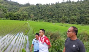IMG-20221210-WA0076