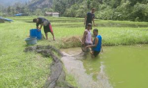 IMG-20230505-WA0033