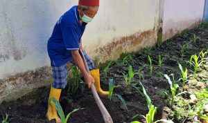 IMG-20230912-WA0022