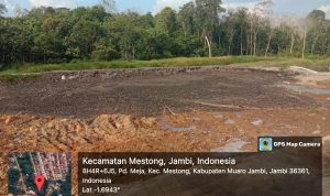 IMG-20240810-WA0103