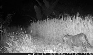 SAVE_20251016_112757