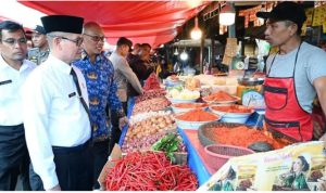 SAVE_20251029_142811